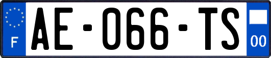 AE-066-TS