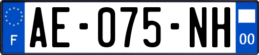 AE-075-NH