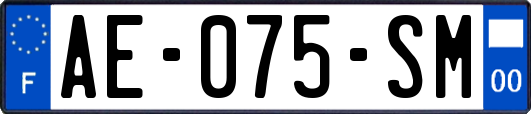 AE-075-SM