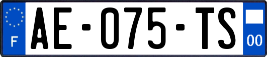 AE-075-TS