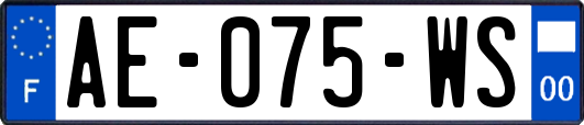 AE-075-WS