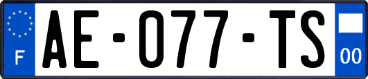 AE-077-TS