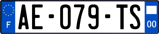 AE-079-TS