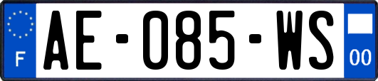 AE-085-WS