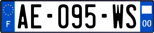 AE-095-WS