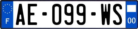 AE-099-WS