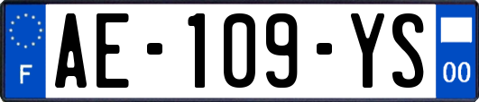 AE-109-YS