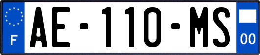 AE-110-MS
