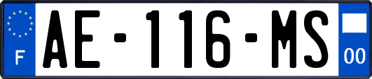 AE-116-MS