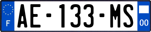 AE-133-MS
