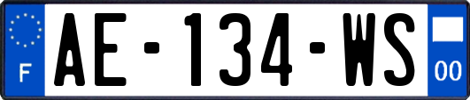 AE-134-WS