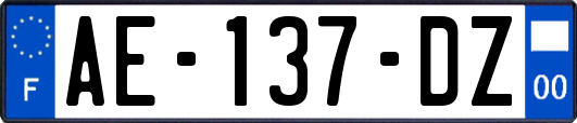 AE-137-DZ