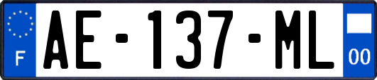 AE-137-ML