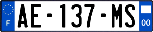 AE-137-MS