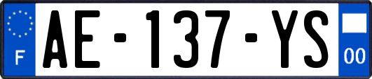 AE-137-YS