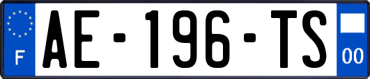 AE-196-TS