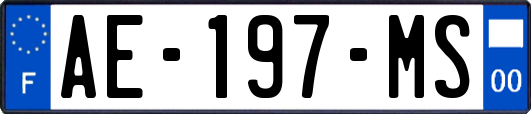 AE-197-MS