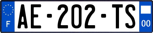 AE-202-TS