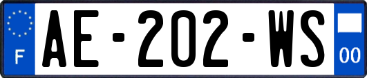 AE-202-WS