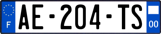 AE-204-TS