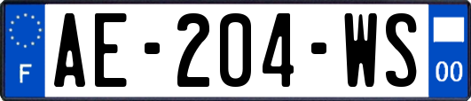 AE-204-WS