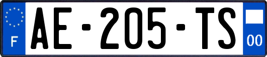 AE-205-TS