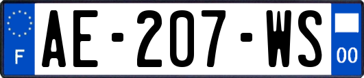 AE-207-WS