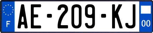 AE-209-KJ