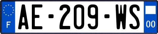 AE-209-WS