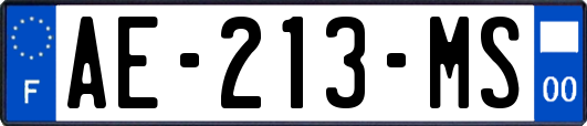 AE-213-MS