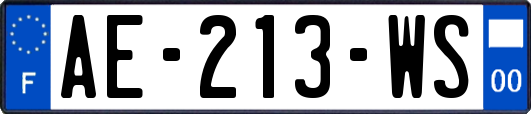 AE-213-WS