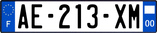 AE-213-XM
