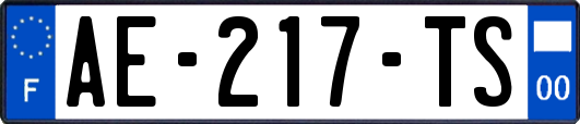 AE-217-TS