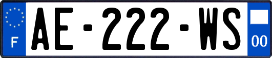 AE-222-WS
