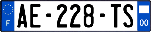 AE-228-TS