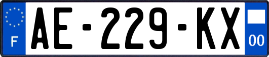 AE-229-KX