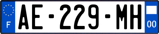 AE-229-MH