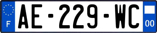 AE-229-WC