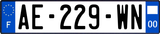 AE-229-WN