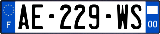 AE-229-WS