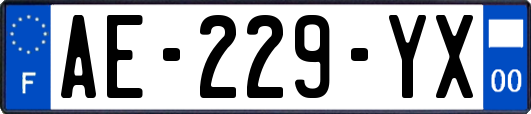 AE-229-YX