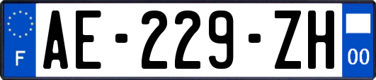 AE-229-ZH