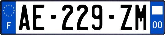 AE-229-ZM