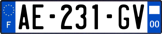 AE-231-GV