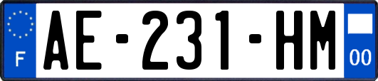 AE-231-HM