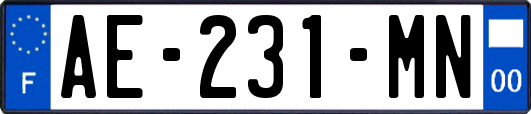 AE-231-MN