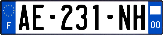 AE-231-NH
