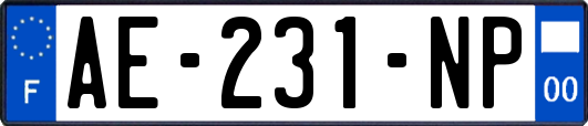 AE-231-NP