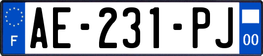 AE-231-PJ