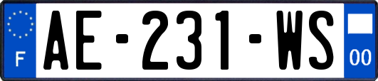 AE-231-WS